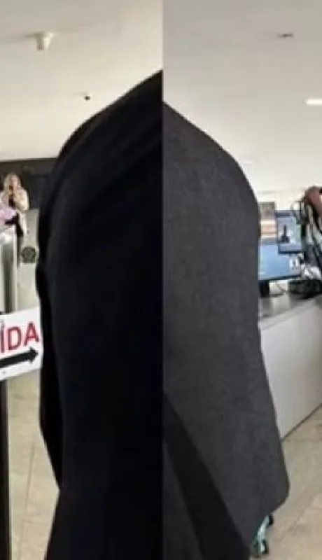 La mujer, completamente desnuda, desconcertó a toda la seguridad del palacio presidencial.