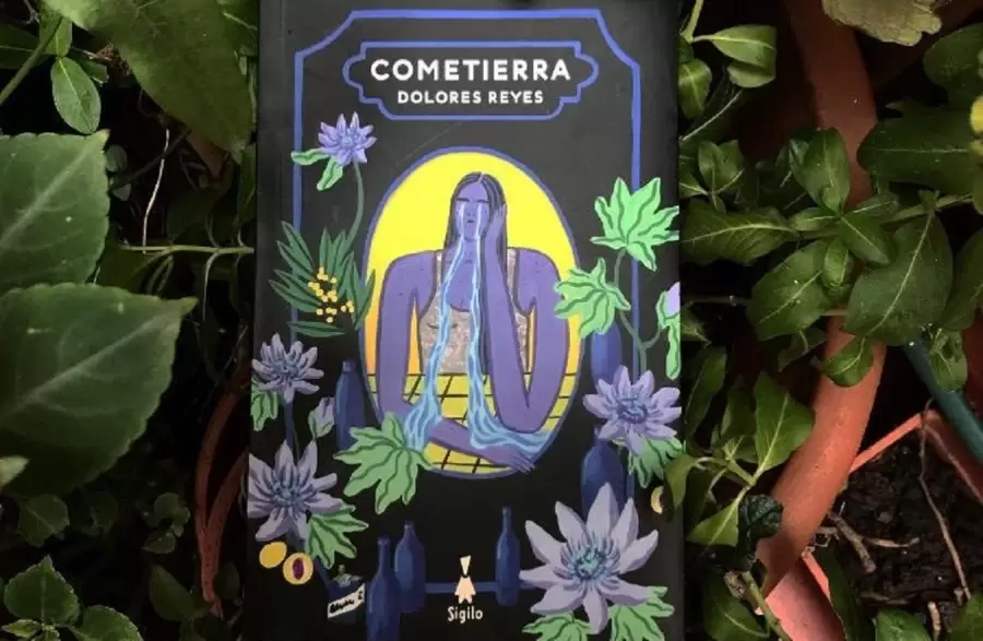 "El texto utiliza varias veces una denominación burda y peyorativa del pene, por dar un ejemplo. Es vulgar y carece de lenguaje técnico" (S. Franco)