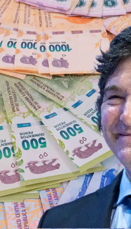 "El Poder Ejecutivo no impone gravámenes, y no define cómo gastar la plata pública" (Walter Ceballos)