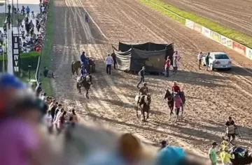 Hay video: luego de un accidente, fue sacrificado un caballo de carrera en Rosario