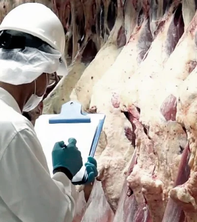 Te contamos sobre los destinos que hacen romper el récord de exportaciones nacionales.