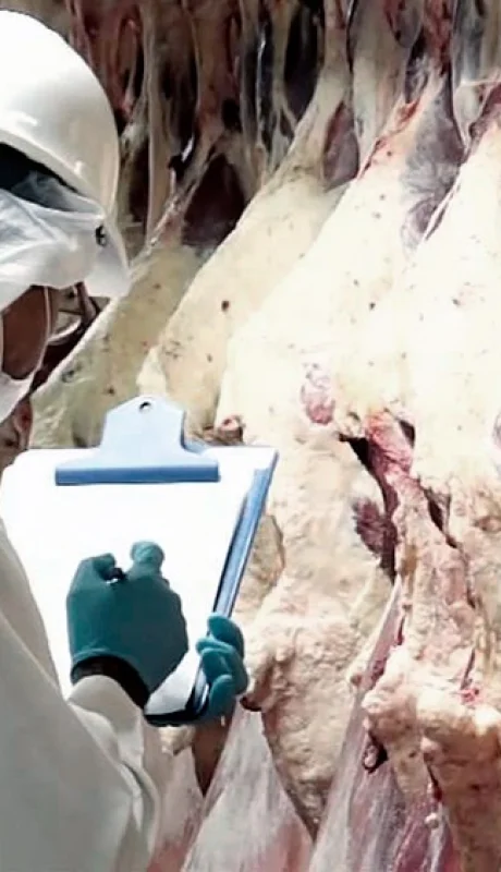 Te contamos sobre los destinos que hacen romper el récord de exportaciones nacionales.