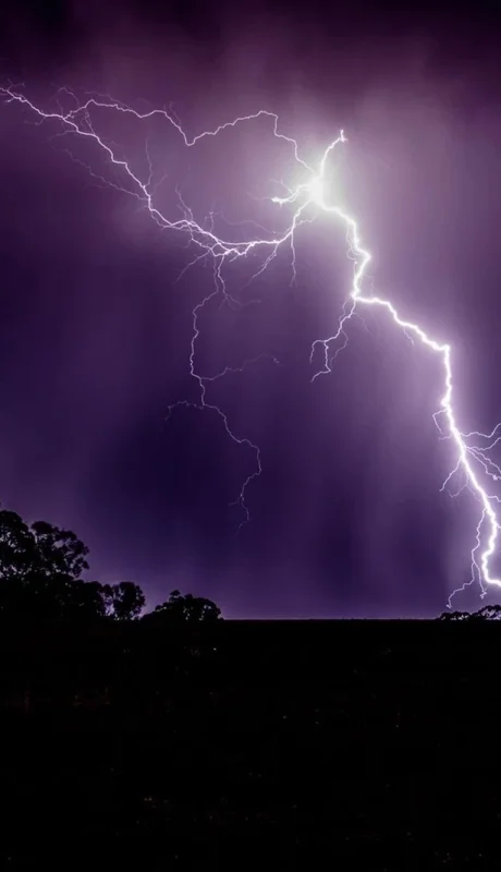 ¡Lo predijo! Vaticinó la caída de un rayo y la naturaleza le respondió en segundos