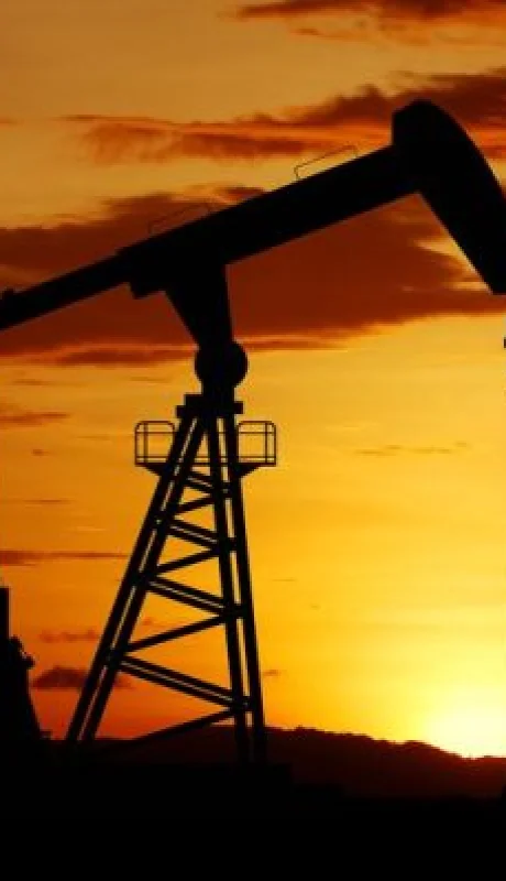 Los recursos naturales establecen, en gran medida, la importancia de las naciones en el concierto internacional.