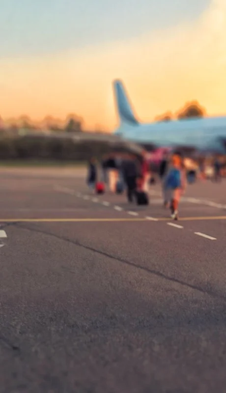 Se revirtió la tendencia de años anteriores debido a que se ve "una luz al final del túnel". (Imagen: archivo web)