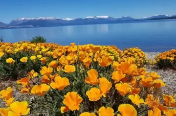 Descubrí una joya oculta en la Patagonia argentina