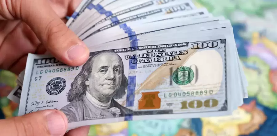 El ingreso de dólares por el blanqueo