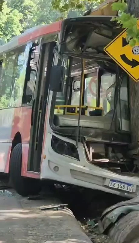 Accidente en el Parque San Martín, donde el chofer murió ayer domingo 10 de noviembre de 2024.
