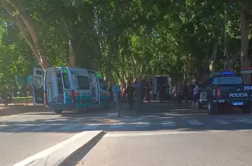 "El micro se quedó sin frenos": el crudo relato de una madre tras el trágico accidente