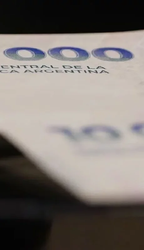 Pesos en plazo fijo.