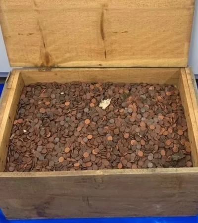 Monedas en el Monte Fuji