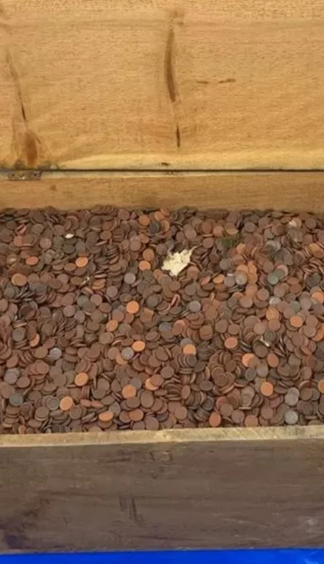 Monedas en el Monte Fuji