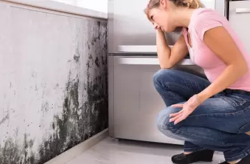 ¡Chau manchas de humedad! Este truco casero revoluciona el cuidado de las paredes