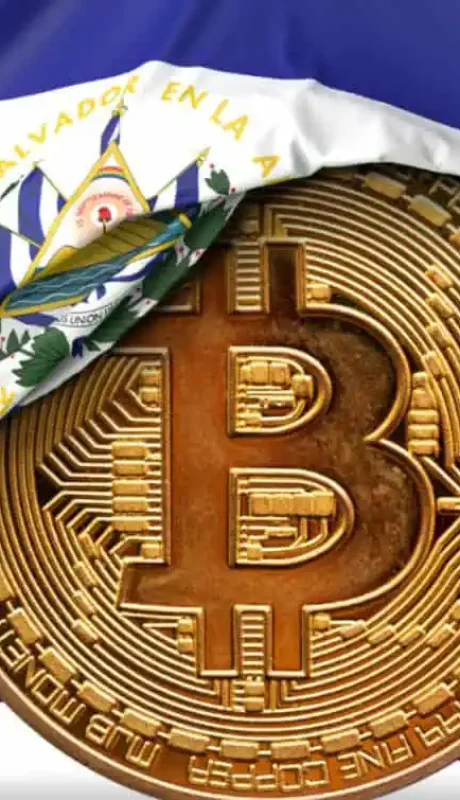 Bukele estalló en alegría tras la última picada en alza del Bitcoin.