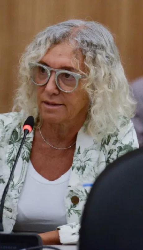 Mónica Frade (Coalición Cívica), presidenta de la Comisión de Prevención de Adicciones de Diputados.