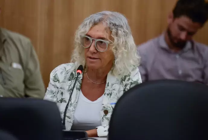 Mónica Frade (Coalición Cívica), presidenta de la comisión de Prevención de Adicciones de Diputados.