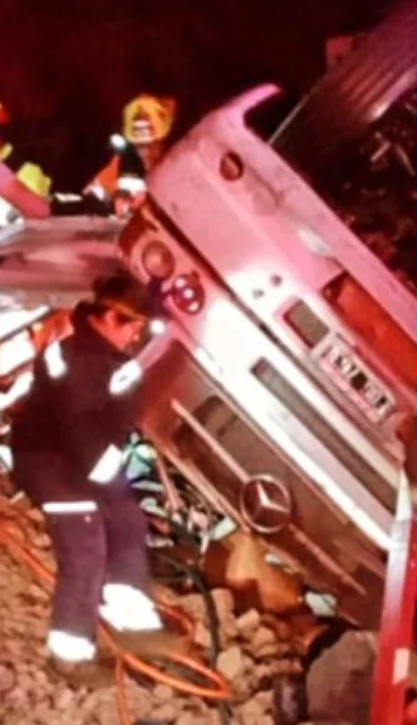 Los brigadistas chilenos debieron rescatar a los ocupantes del camión Mercedes Benz volcado sobre la Ruta 60.