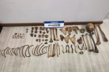 Una mujer intentó pasar huesos humanos a Chile desde Mendoza