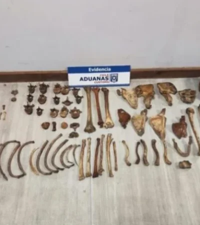 Imagen del secuestro realizado por la PDI de Chile a la viajera uruguaya que intentó ingresar a ese país por el sur de Mendoza.