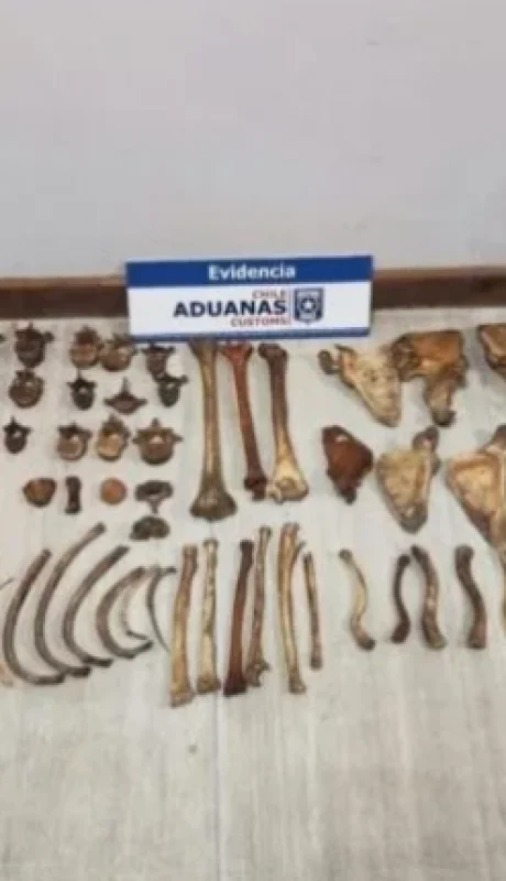 Imagen del secuestro realizado por la PDI de Chile a la viajera uruguaya que intentó ingresar a ese país por el sur de Mendoza.