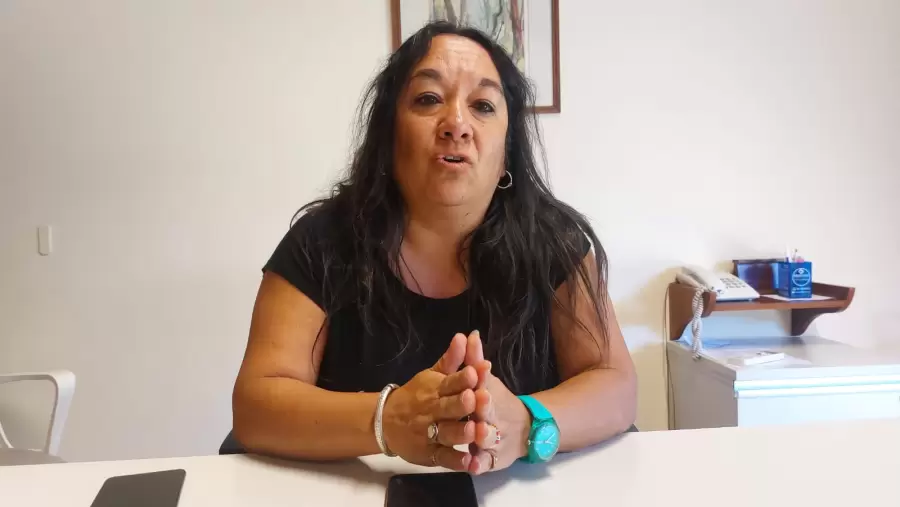 Psicopedagoga. Miriam Serraboguña (AMPROS)