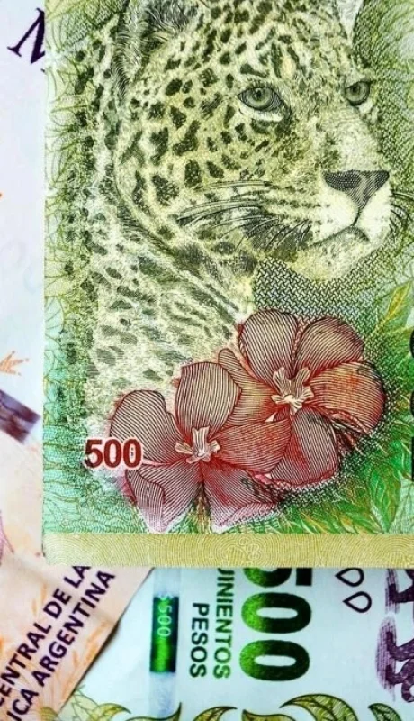 El secreto de los coleccionistas: el billete de $500 más buscado del país