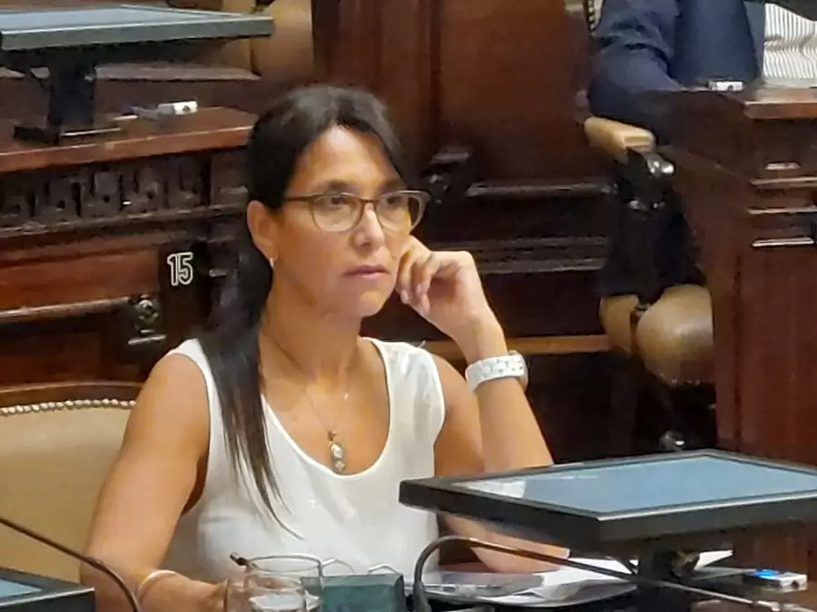 Senadora Mercedes Derrache (PJ - UxP)