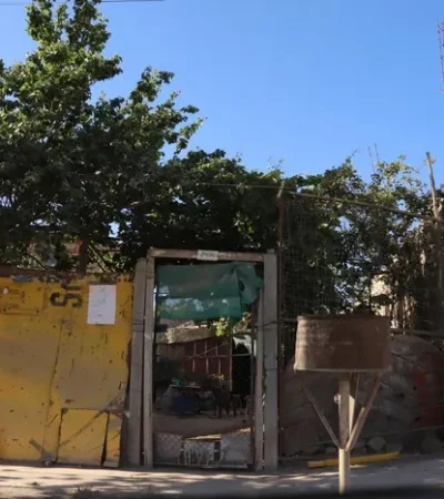 Gentileza: Claudio Espinoza (LMN)