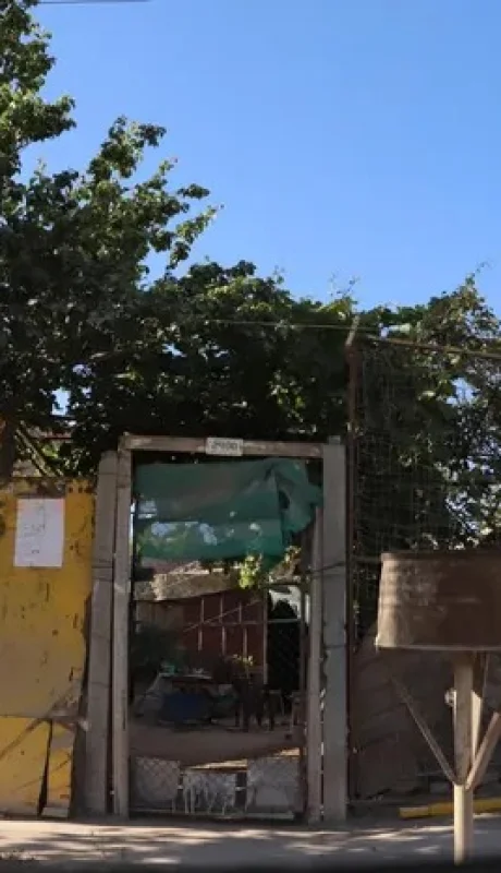 Gentileza: Claudio Espinoza (LMN)