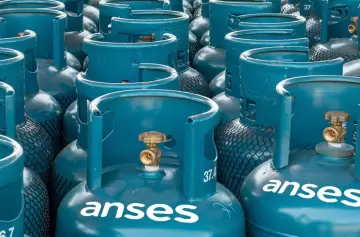 ANSES: cómo saber si me corresponde cobrar el Programa Hogar