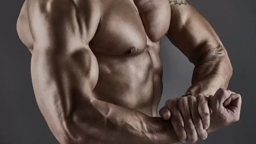 La masa muscular hay que potenciarla, y no solamente con ejercicio.