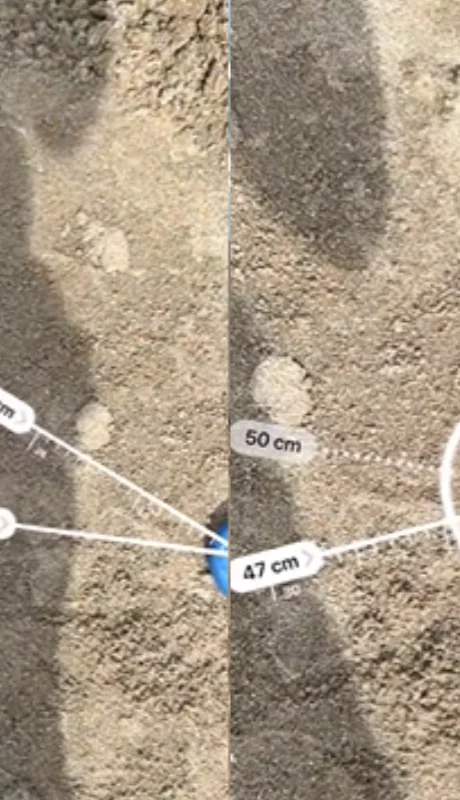 El tejo, un clásico que se ve todos los veranos en la costa.