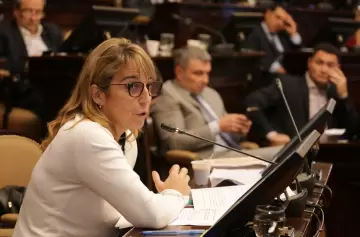 María José Sanz, sobre la Ficha Limpia y "la resistencia política a la transparencia"