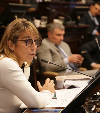 Ley de Ficha Limpia.