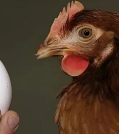 Científicos de Suiza parecen haber llegado a la conclusión final.