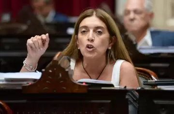 Fracasó el tratamiento de Ficha Limpia y no hay definición sobre el Presupuesto 2025