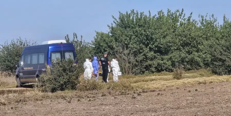 El cuerpo de Sofía fue encontrado en un camino poco transitado. (Foto: web)