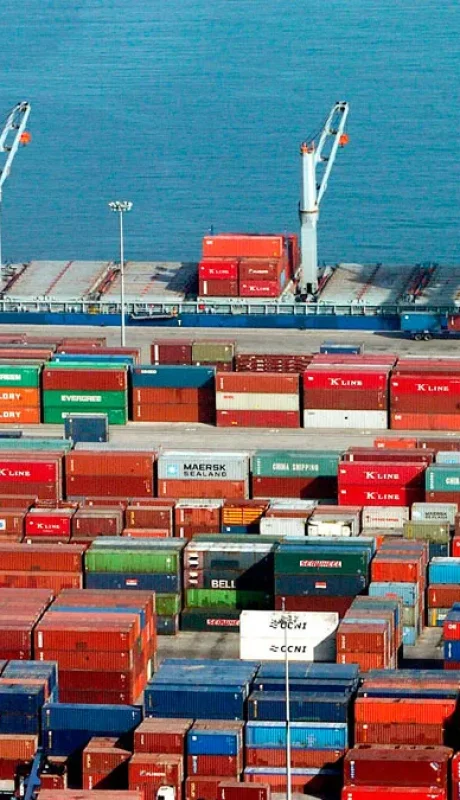 "El superávit es un gran esfuerzo social, porque mandamos más productos de los que estamos recibiendo" (Diego Kofman)