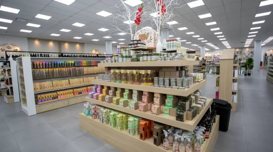 "La leve recuperación que se ve ahora en los ingresos, después de varios meses, tiene que ver con mantener el dólar estable" (Diego Kofman)