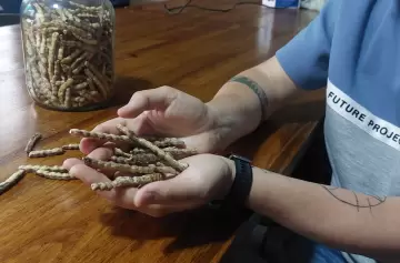 Un restaurante te invita a saber todo sobre su comida