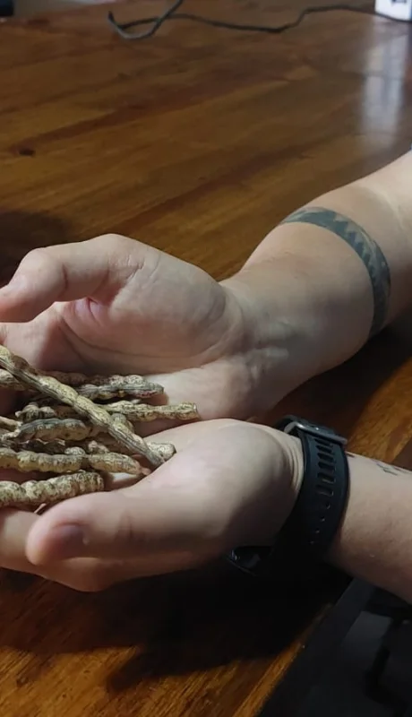 Matías Bismach, gerente de Centauro Restaurante.