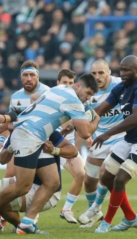 Los Pumas vuelven a enfrentarse con Francia