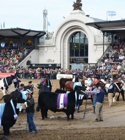 Tradicional Exposición Rural