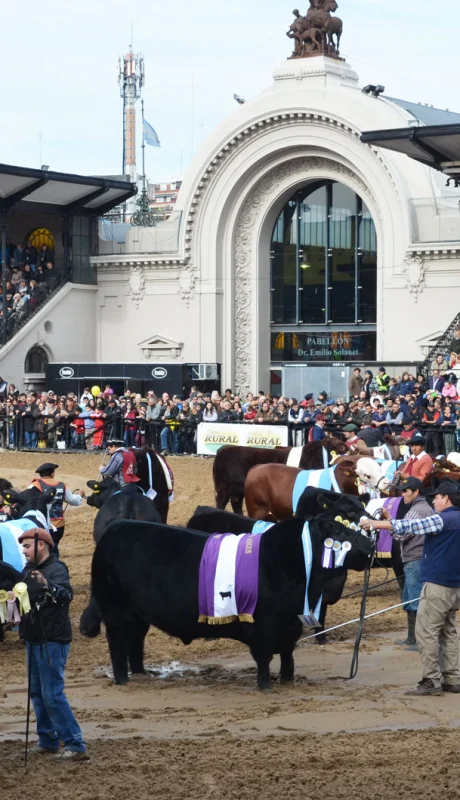 Tradicional Exposición Rural