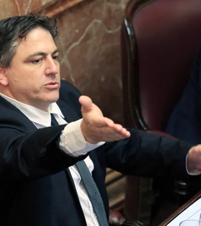 Senador del bloque unipersonal Libertad, Trabajo y Progreso Francisco Paoltroni. (Foto: Noticias Argentinas)