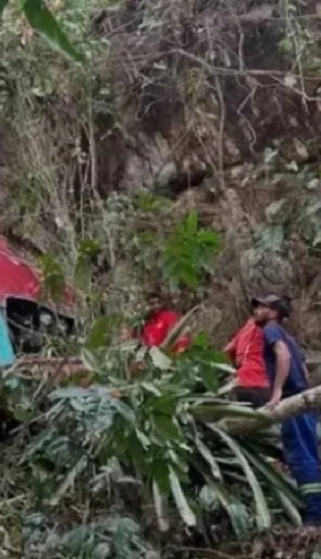 El colectivo salió de la carretera a raíz de un problema mecánico.