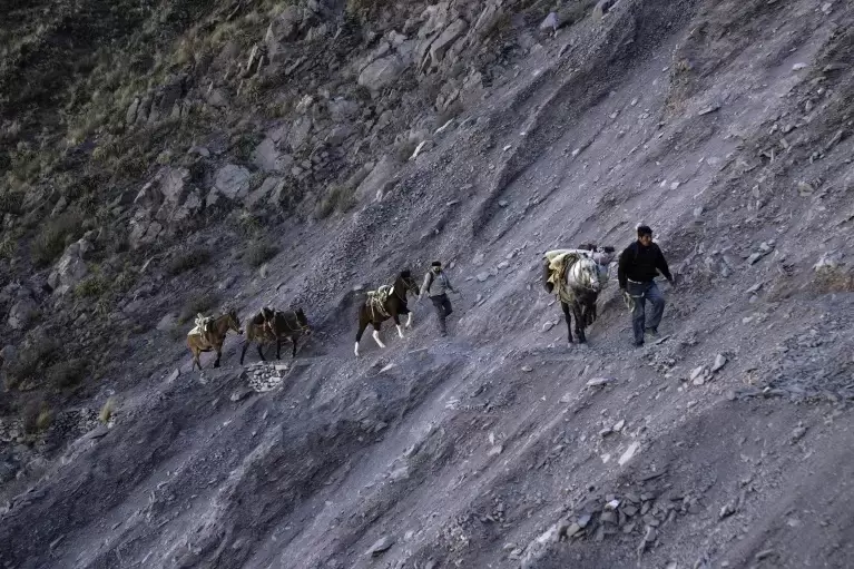 El agente de salud pública, Santos Ramos, guía al doctor Jorge Fusaro y sus mulas alquiladas por un sendero del Cerro Chañi. (Foto AP)