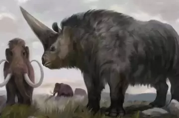 Adiós para siempre: la lista de animales extintos más extraños