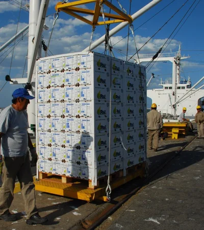 Exportación de alimentos