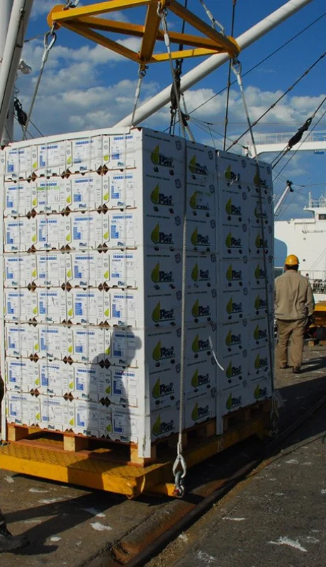 Exportación de alimentos